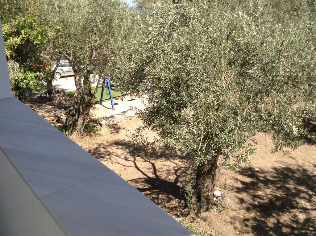 Rooms To Let To Kyma Skala Sikamineas Skala Sykamineas ภายนอก รูปภาพ