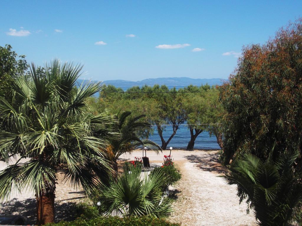 Rooms To Let To Kyma Skala Sikamineas Skala Sykamineas ห้อง รูปภาพ