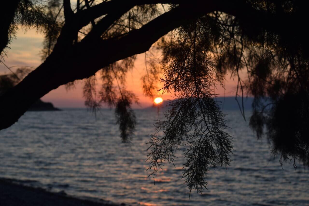 Rooms To Let To Kyma Skala Sikamineas Skala Sykamineas ภายนอก รูปภาพ